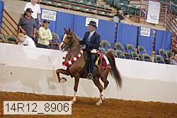 14r12_8906 thumbnail