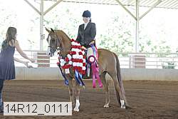 14r12_0111 thumbnail