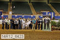 14r12_6423 thumbnail