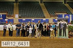 14r12_6431 thumbnail