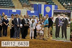 14r12_6439 thumbnail
