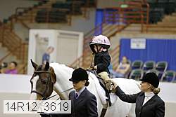 14r12_3619 thumbnail