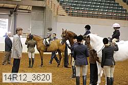 14r12_3620 thumbnail