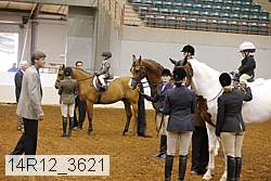 14r12_3621 thumbnail