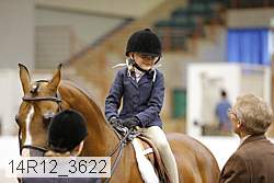 14r12_3622 thumbnail