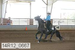 14r12_0667 thumbnail