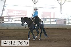 14r12_0670 thumbnail