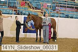 14yn_slideshow_06031 thumbnail