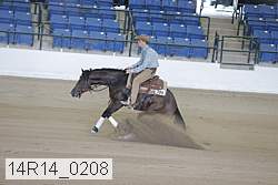 14r14_0208 thumbnail