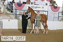 14r14_0357 thumbnail