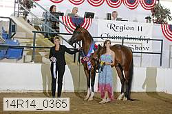14r14_0365 thumbnail