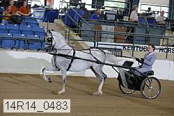 14r14_0483 thumbnail