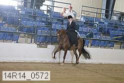 14r14_0572 thumbnail