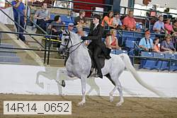 14r14_0652 thumbnail