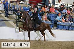 14r14_0657 thumbnail