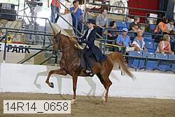 14r14_0658 thumbnail