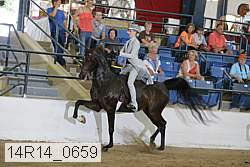 14r14_0659 thumbnail