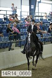 14r14_0660 thumbnail