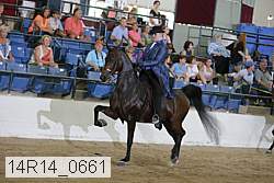 14r14_0661 thumbnail