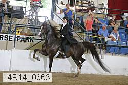 14r14_0663 thumbnail