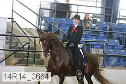 14r14_0664 thumbnail