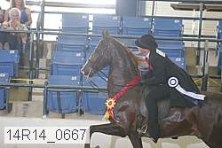 14r14_0667 thumbnail