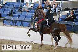 14r14_0668 thumbnail
