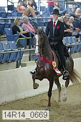 14r14_0669 thumbnail