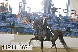 14r14_0670 thumbnail