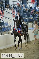 14r14_0677 thumbnail