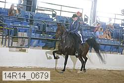 14r14_0679 thumbnail