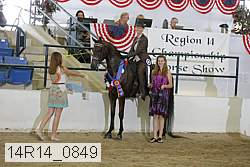 14r14_0849 thumbnail