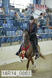 14r14_0863 thumbnail
