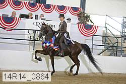14r14_0864 thumbnail