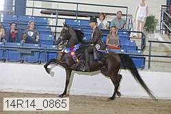 14r14_0865 thumbnail