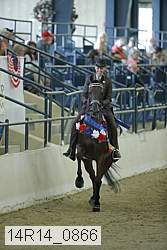 14r14_0866 thumbnail