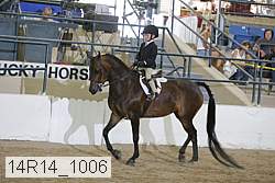 14r14_1006 thumbnail