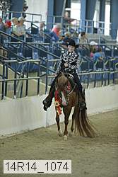 14r14_1074 thumbnail