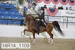 14r14_1109 thumbnail