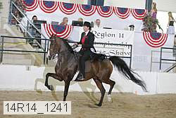 14r14_1241 thumbnail