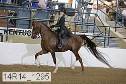 14r14_1295 thumbnail