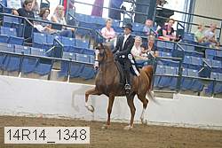 14r14_1348 thumbnail