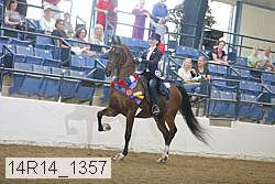 14r14_1357 thumbnail