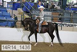14r14_1436 thumbnail