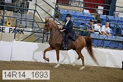 14r14_1693 thumbnail