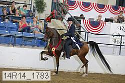 14r14_1783 thumbnail