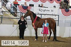 14r14_1965 thumbnail