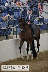 14r14_2086 thumbnail