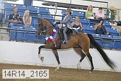 14r14_2165 thumbnail