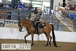 14r14_2270 thumbnail